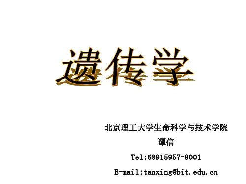 基因的概念与结构
