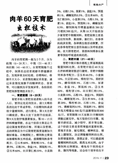 肉羊60天育肥出栏技术