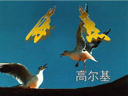 《海燕》课件(44张PPT)2020-2021学年部编版语文九年级下册