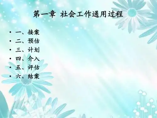 社会工作实务(初级)