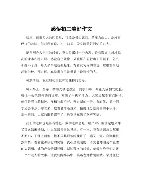 感悟初三美好作文