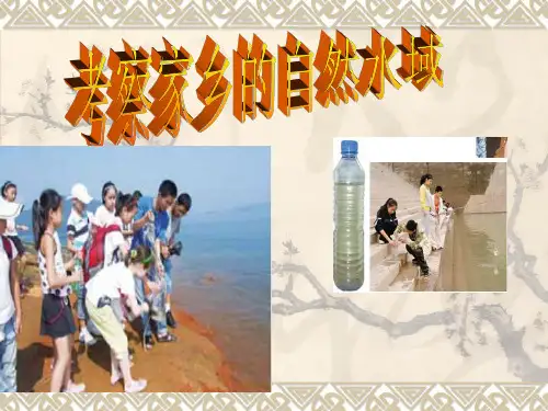 教科版六年级科学下册--考察家乡的自然水域教学提纲