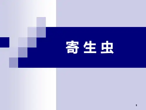 几种常见寄生虫PPT课件