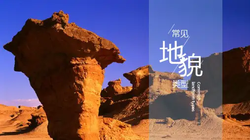 人教版高中地理必修一课件常见地貌类型
