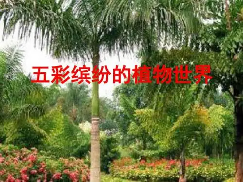 苏教版初中生物八上第5单元第十四章第一节《五彩缤纷的植物世界》课件(共29张PPT)