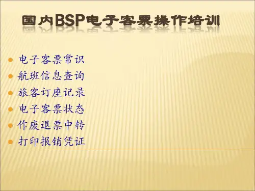 BSP电子客票培训
