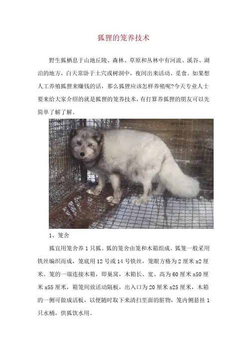 狐狸的笼养技术