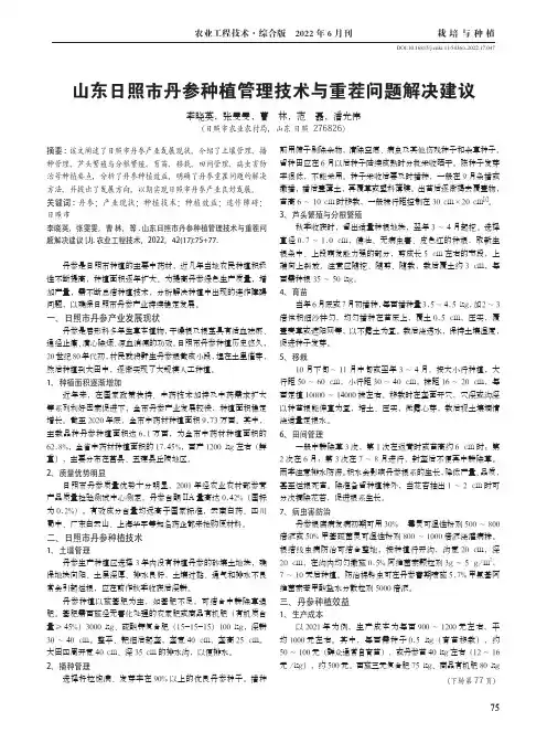 山东日照市丹参种植管理技术与重茬问题解决建议