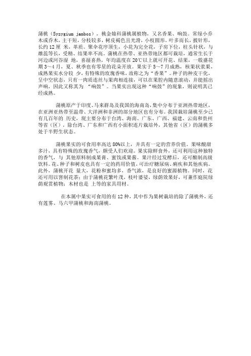热带水果-蒲桃