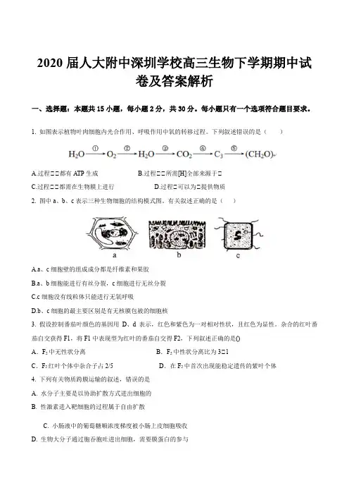 2020届人大附中深圳学校高三生物下学期期中试卷及答案解析