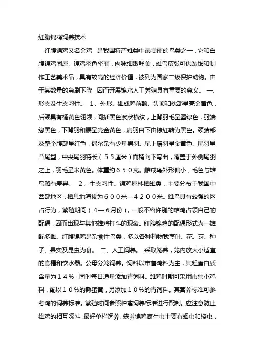 红腹锦鸡饲养技术