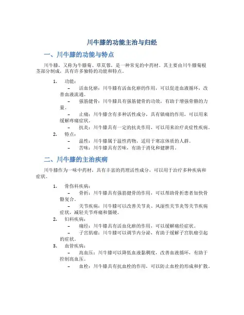 川牛膝的功能主治与归经