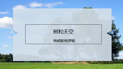 《 树和天空》ppt课件18张