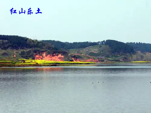 苏教版小学科学三年级上册《神奇的水》PPT课件