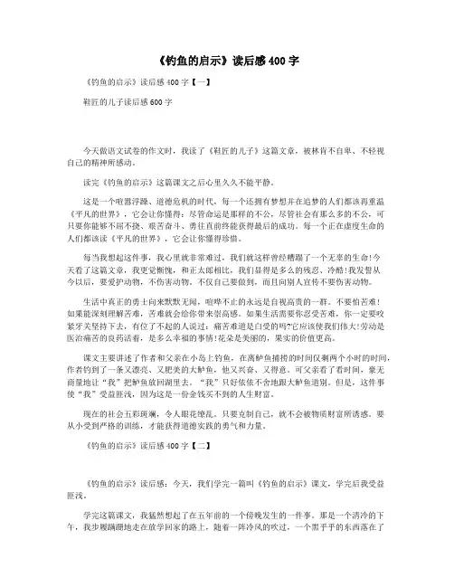 《钓鱼的启示》读后感400字