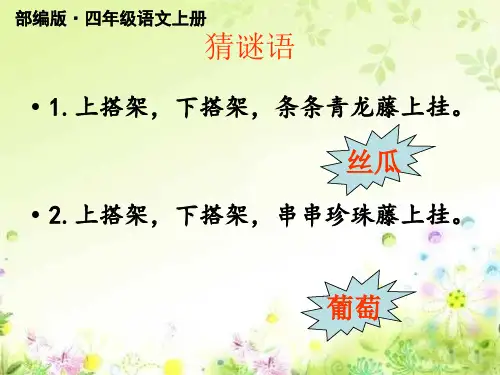 2020部编版四年级语文上册第10课《爬山虎的脚》公开课课件(完美)
