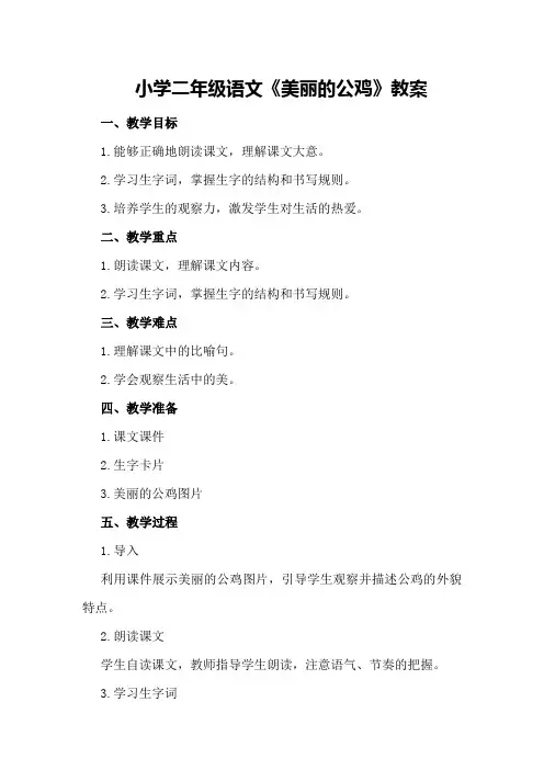 小学二年级语文《美丽的公鸡》教案