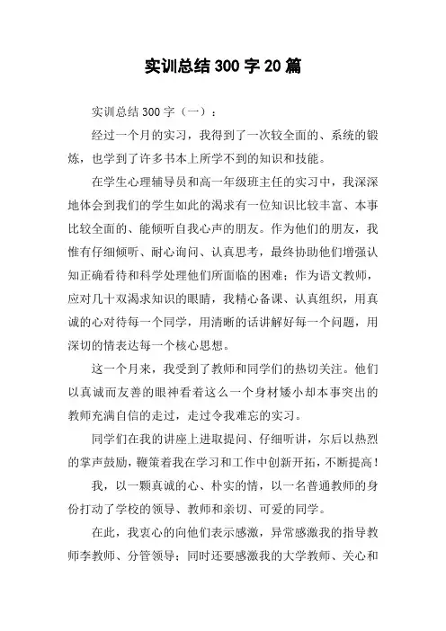 实训总结300字20篇