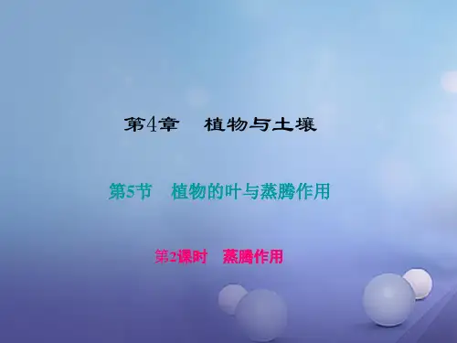 2016_2017学年八年级科学下册第四章第5节植物的叶与蒸腾作用第2课时蒸腾作用课件