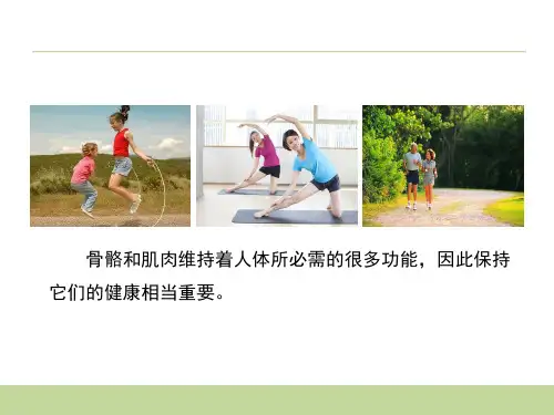四年级下册科学课件骨骼 肌肉的保健 苏教版 (共13页)PPT