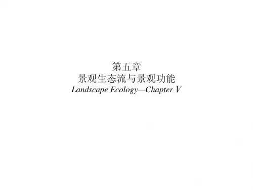 景观生态学第五章