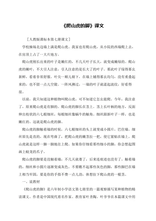 《爬山虎的脚》课文