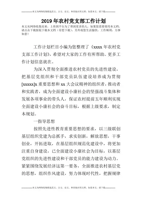 2019年农村党支部工作计划