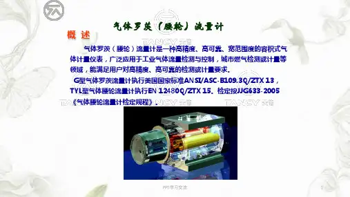 气体罗茨流量计课件