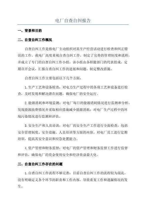 电厂自查自纠报告