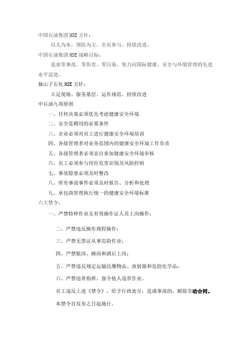 集团公司HSE方针和九项原则