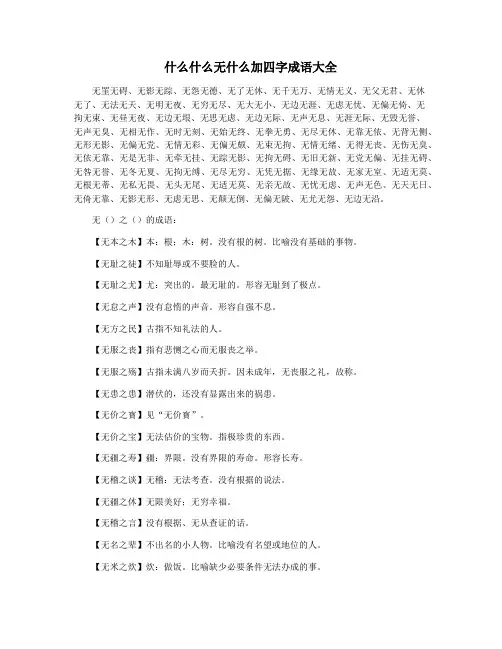 什么什么无什么加四字成语大全