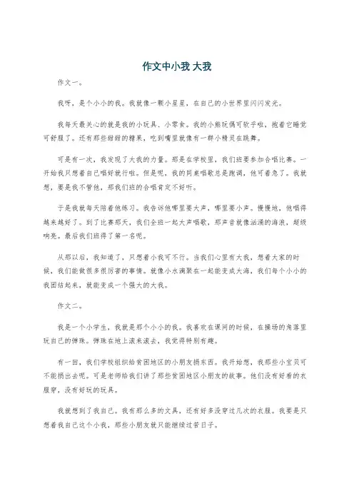 作文中小我 大我