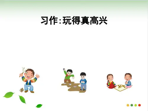 作文指导：《玩得真高兴》 ppt课件(完美版)