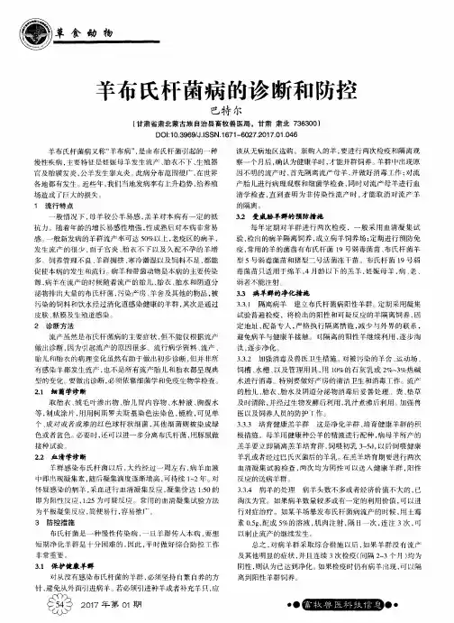 羊布氏杆菌病的诊断和防控