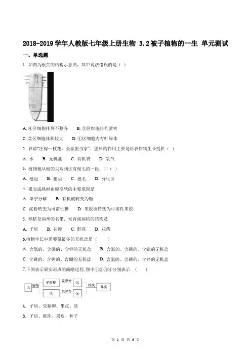 精品解析：人教版2018-2019学年七年级上册生物 3.2被子植物的一生 单元测试题(原卷版)