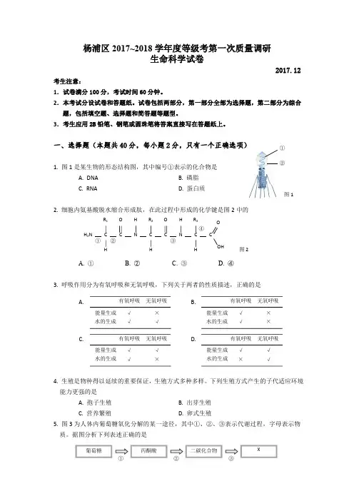 上海市杨浦区高三一模生命科学试题及答案.pdf