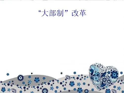 大部制改革