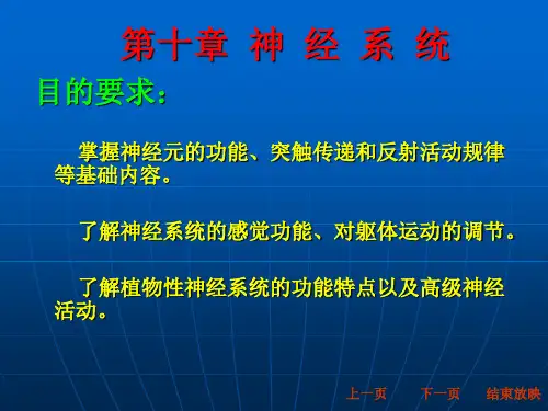 动物生理学_第十章__神经系统PPT课件