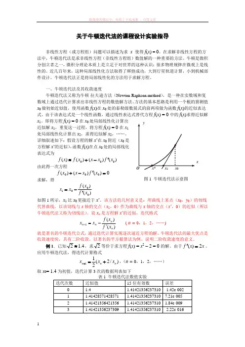 关于牛顿迭代法的课程设计实验指导