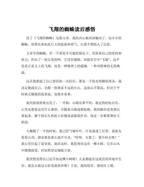 飞翔的蜘蛛读后感悟