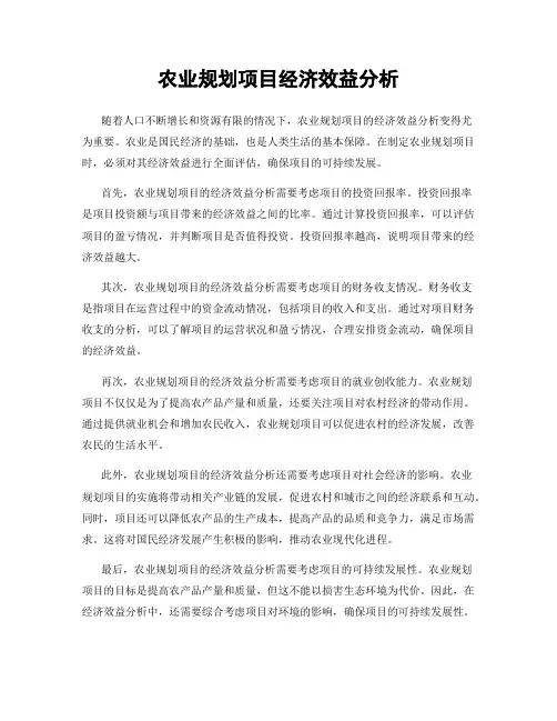 农业规划项目经济效益分析