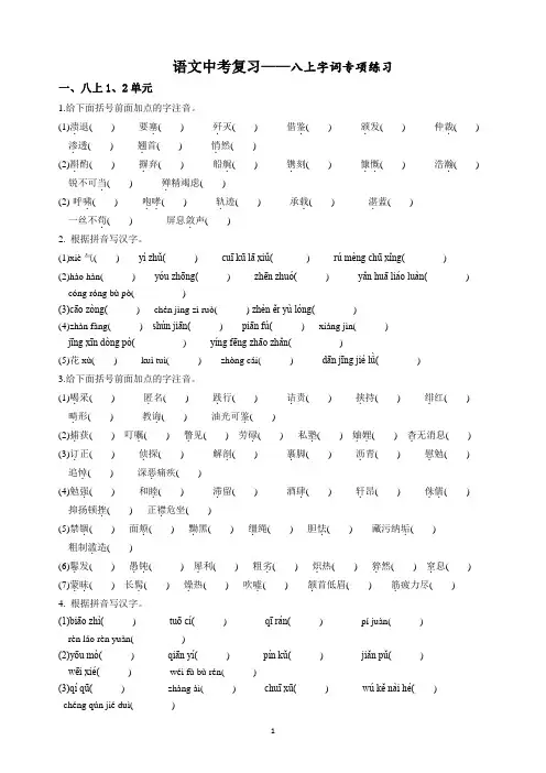 八年级上册--语文字词专项练习