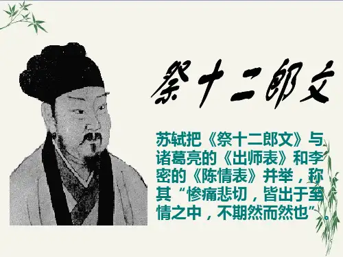 祭十二郎文PPT(优秀课件)23 人教版