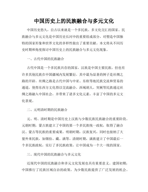 中国历史上的民族融合与多元文化