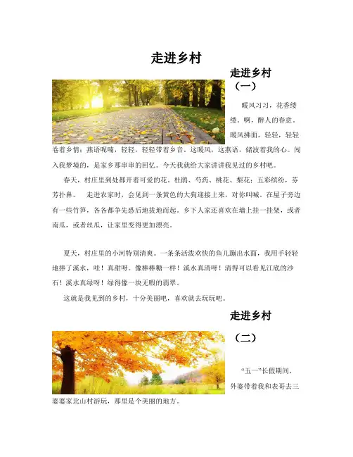 走进乡村(共10篇)
