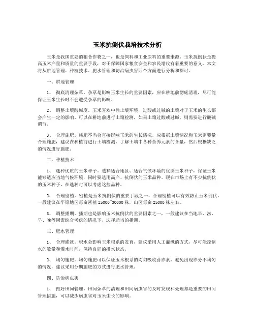 玉米抗倒伏栽培技术分析