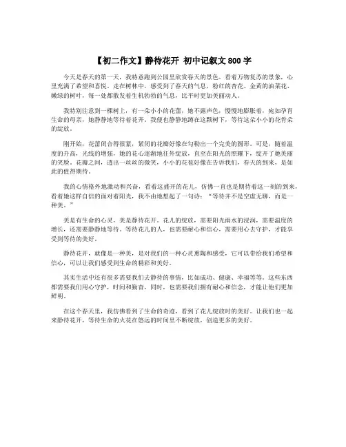 【初二作文】静待花开 初中记叙文800字