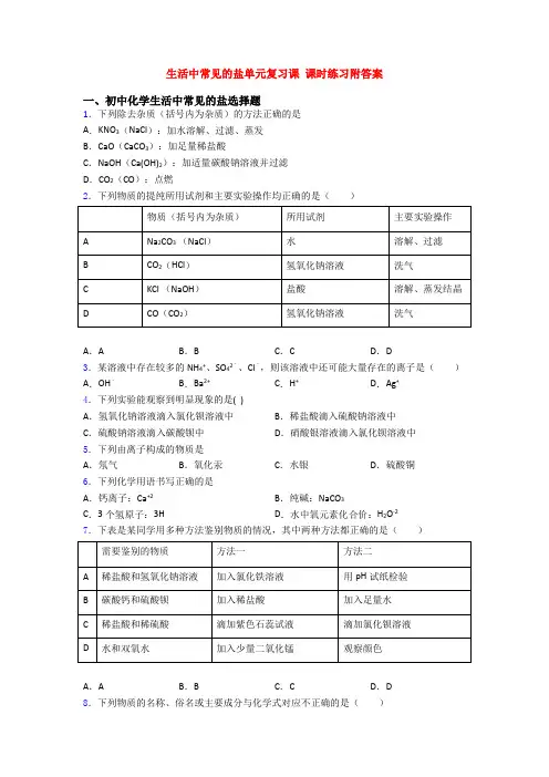生活中常见的盐单元复习课 课时练习附答案