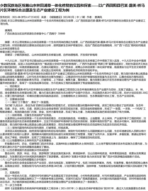 少数民族地区统筹山水林田湖草一体化修复的实践和探索——以广西田阳县巴某-露美-桥马片区环境综合治理及