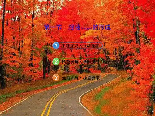 九年级化学全册 3.1 溶液的形成课件 
